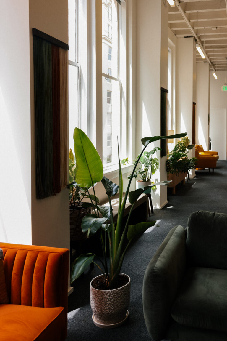 Seating area framed by tall indoor plants and warm wood tones